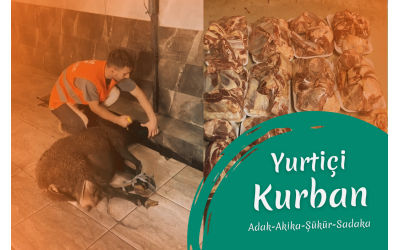 YURTİÇİ KÜÇÜKBAŞ KURBAN