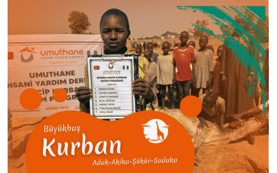 AFRİKA BÜYÜKBAŞ HİSSE